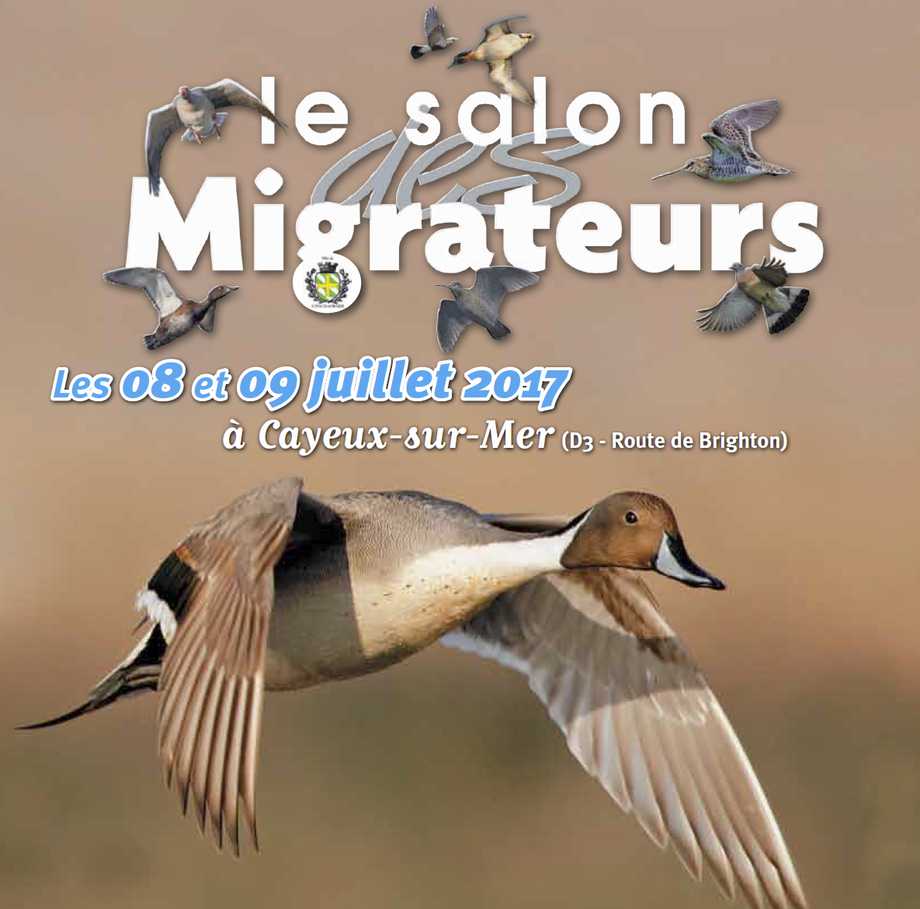 affiche salon migrateurs affiche salon migrateurs